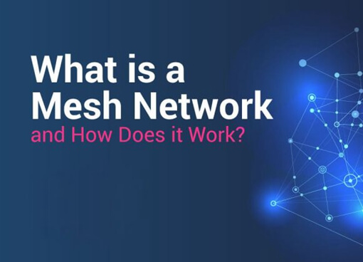 What You Should Know about Mesh Network