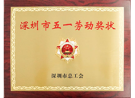 Shenzhen May 1 Labor Medal