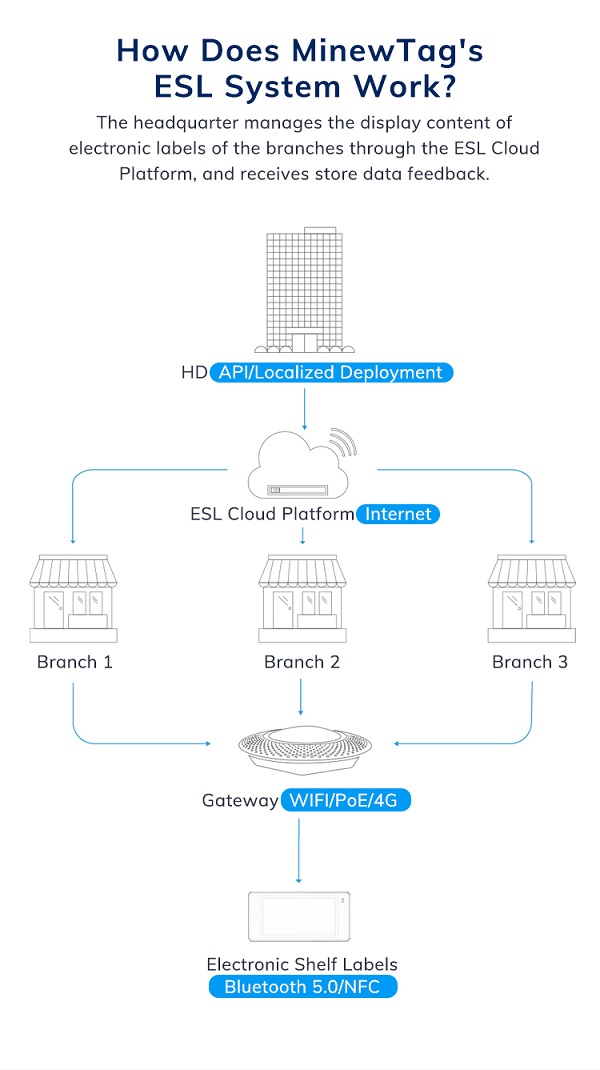 how esl system work